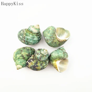 5 pc ' er/masse naturlige havet shell snegl/trompet shell bryllup festival/fest dekoration conch naturlige håndværk grønne fisk 3578